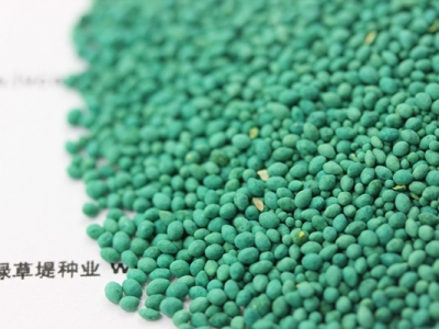 [馬尼拉草坪]馬尼拉草坪種子_價格_種植技術(shù)